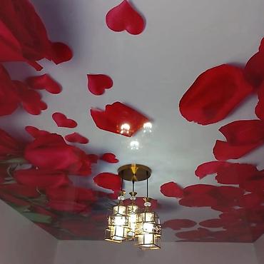 Натяжной потолок: Натяжной потолок 3D потолки, Глянцевое, Матовое Бесплатная консультация, Гарантия, Бесплатный замер — 13