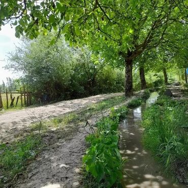 Həyət evləri və villaların satışı: 3 otaqlı, 130 kv. m, Kredit yoxdur, Təmirsiz — 9