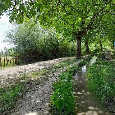 Meyvə və giləmeyvə: Qusarin kendi 10 km araligda panramali yerdi,tecili satlir — 4