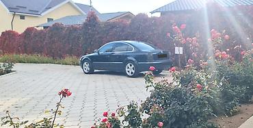 pasat: Volkswagen Passat: 2004 г., 1.9 л, Автомат, Дизель, Седан — 7
