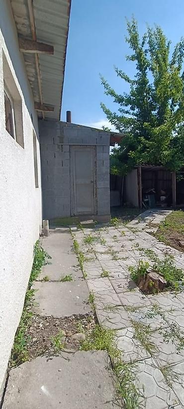 Продажа коттеджей и домов: 🏡 *ПРОДАЕТСЯ УЮТНЫЙ ДОМ В ВОЕННО-АНТОНОВКЕ 9.5 соток!* 1️⃣2️⃣0️⃣ — 4