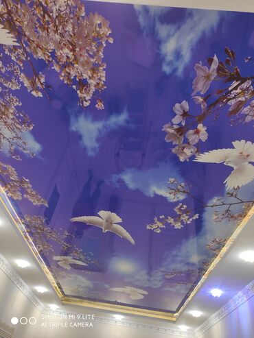 Натяжной потолок: Натяжной потолок Глянцевое, Матовое Гарантия — 21