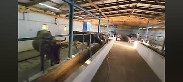 кафе ош: Срочно продаю готовый бизнес для семьи все условия и возможности — 9