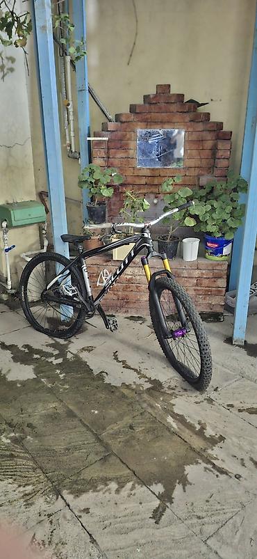 veloiped: Yeni Şəhər velosipedi Scott, 26", sürətlərin sayı: 8, Ödənişli çatdırılma — 2