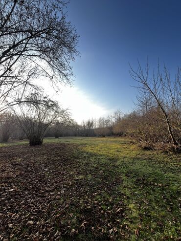 Torpaq sahələrinin satışı: Qəbələ rayonunun Soltannuxa kəndində magistral yolun düz kənarında — 1