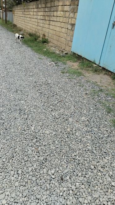 Uzunmüddətli kirayə evlər: 11 kv. m, 1 otaqlı -da lalafo.az — 9 Uzunmüddətli kirayə evlər: 11 kv. m, 1 otaqlı — 9