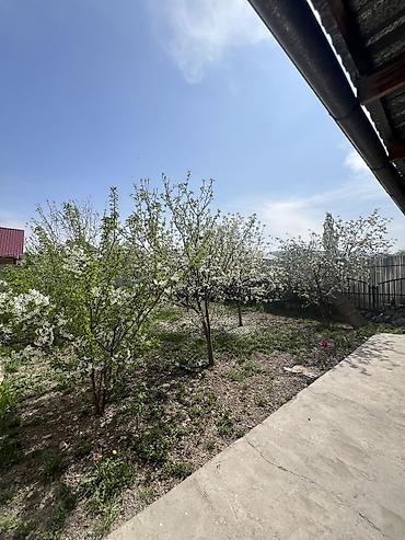 Продажа коттеджей и домов: Продаётся уютный дом 🏡 📍 Тихий, живописный район ▪️ 111 м², участок 5 — 4