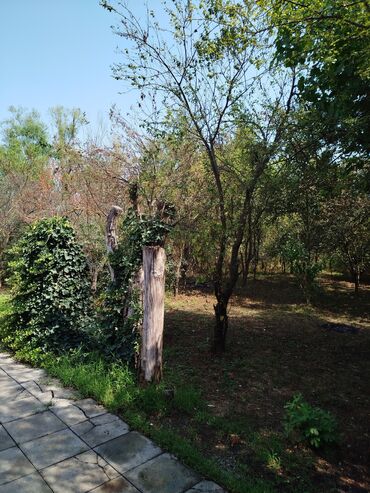 Günlük kirayə evlər: 120 kv. m, 3 otaqlı, Artezian quyusu, İnternet, Qaz -da lalafo.az — 24 Günlük kirayə evlər: 120 kv. m, 3 otaqlı, Artezian quyusu, İnternet, Qaz — 24