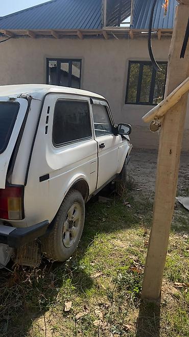 сары булун: ВАЗ (ЛАДА) 2121 (4x4): 2011 г., Кол менен иштөөчү, Бензин, Жол тандабас — 3