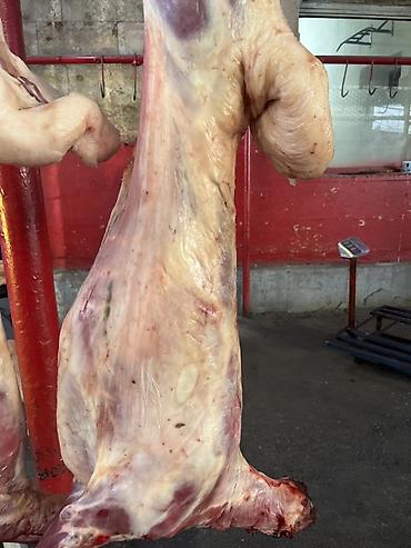 Говядина: Кости, Самовывоз, Платная доставка — 8