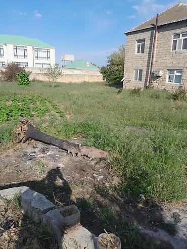 Torpaq sahələrinin satışı: 10 sot, Tikinti, Mülkiyyətçi, Kupça (Çıxarış) — 5