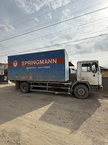 Грузовики: Грузовик, MAN, Стандарт — 6