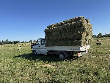 оптом светы: Легкий грузовик, Mercedes-Benz, Дубль, 3 т, Б/у — 2