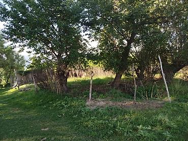квартира дом каракол: 30 соток, Для бизнеса, Красная книга — 8