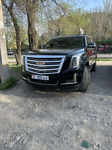 Cadillac: Cadillac Escalade: 2016 г., Внедорожник — 1