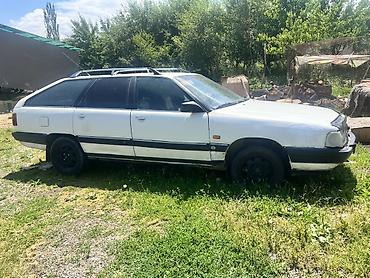 Audi: Audi 100: 1991 г., 2.3 л, Механика, Бензин, Универсал — 2