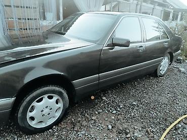 ender s: Mercedes-Benz S-Class: 1995 г., Автомат, Седан — 6