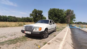 мерс лупарик 2 4: Mercedes-Benz W124: 1988 г., 2.3 л, Механика, Бензин, Седан