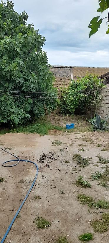 bine sovxoz: Buzovna qəsəbəsində həyət evi satılır. Torpağın və evin kupçası var — 5