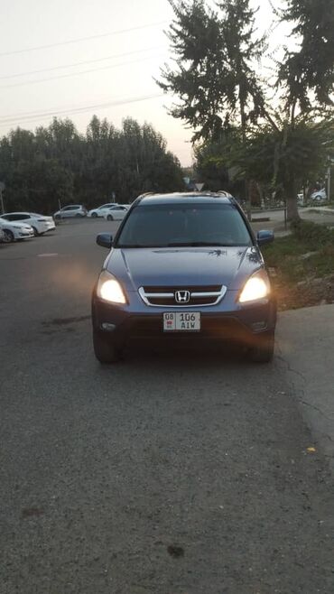 скутер кобра: Honda CR-V: 2003 г., 2 л, Механика, Бензин, Внедорожник