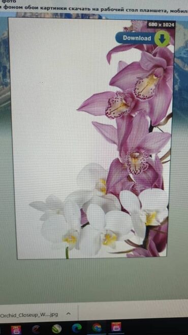 Натяжной потолок: Натяжной потолок Глянцевое, Матовое, 3D потолки Бесплатная консультация, Демонтаж, Бесплатный замер — 12