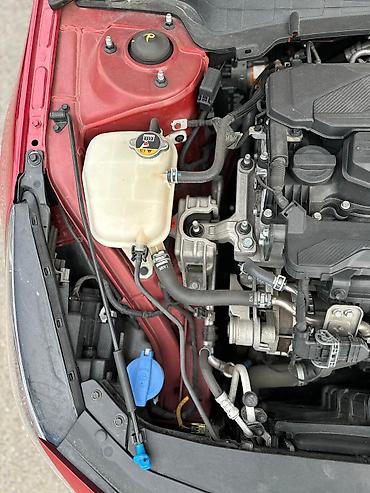 Hyundai: Hyundai Avante: 2020 г., 1.6 л, Бензин — 7