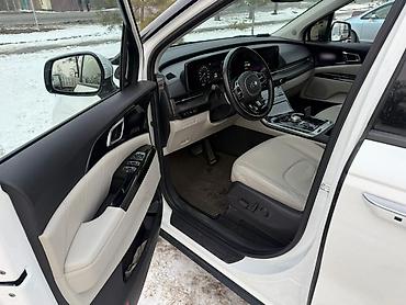 Kia: Kia Carnival: 2020 г., 2.2 л, Автомат, Дизель, Минивэн — 19