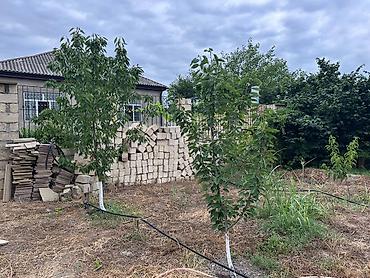 ev satisi gəncə: 3 otaqlı, 115 kv. m, Yeni təmirli — 10