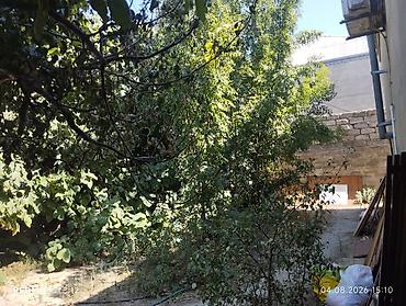 Torpaq sahələrinin satışı: 4 sot -da lalafo.az — 1 Torpaq sahələrinin satışı: 4 sot — 1