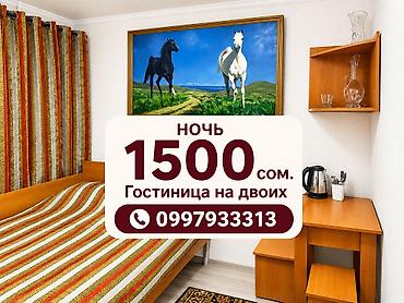 продаю отель: Уютный номер в гостинице для двоих. Просторная комната с большой — 1