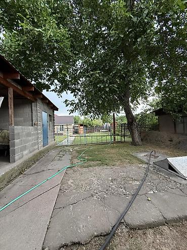 срочно продаю нужны деньги: 3 комнаты, 55 м², 5 соток, Бишкек, Пишпек Агентство недвижимости — 9