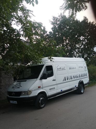 лебедка на машину: Mercedes-Benz Спринтер: 1996 г., 2.9 л, Механика, Дизель, Бус
