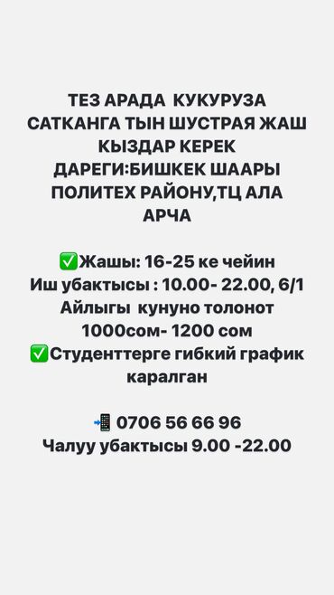 работа рынок дордой: Тез арада кукуруза сатканга тын шустрая жаш кыздар керек