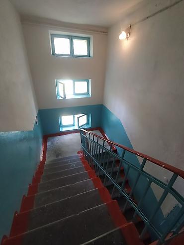 Другие виды отделочных работ: Больше 6 лет опыта — 3