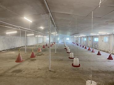 kafe ucun yerin icarəsi: Toyuq ferması icarəyə verilir 8000-dən çox tutuma malikdir 550 kvm-dir — 3