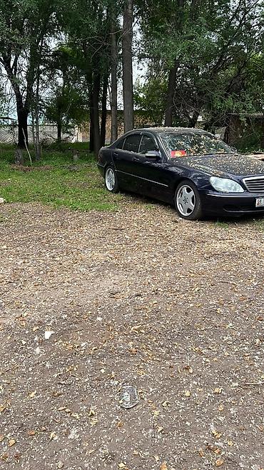 выбор номера о: Mercedes-Benz S-Class: 2004 г., 3.7 л, Автомат, Бензин, Седан — 10