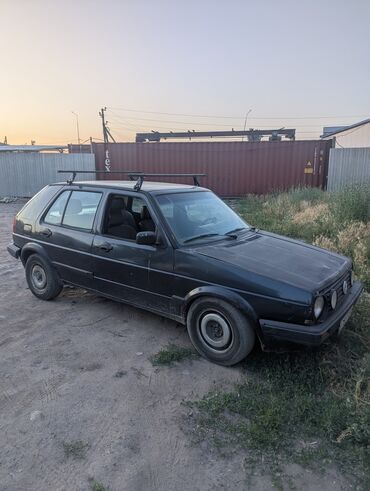 двери гольф 2: Volkswagen Golf: 1990 г., 1.8 л, Автомат, Бензин, Хэтчбэк
