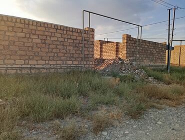 baş zəyzid torpaq: 12 sot, Biznes üçün, Barter mümkündür, Kupça (Çıxarış), Bələdiyyə