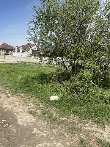 5 соток, Для бизнеса, Договор купли-продажи at lalafo.kg 5 соток, Для бизнеса, Договор купли-продажи