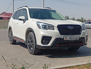 субару форестер 2018: Subaru Forester: 2019 г., 2.5 л, Бензин, Кроссовер