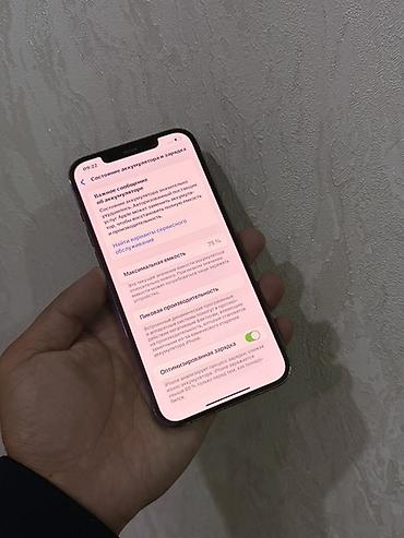 maxxis 315: IPhone 12 Pro Max, Б/у, 128 ГБ, Alpine Green, Защитное стекло, Чехол, 75 % — 3
