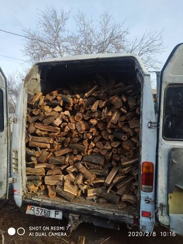 Дрова: Дрова — 6