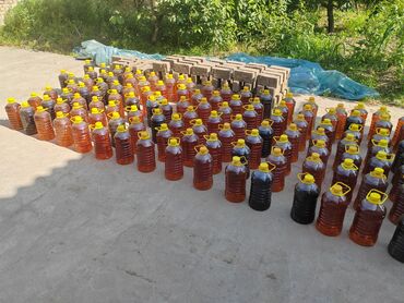швабра бишкек: Масло хлопковый. Пахта май, только оптом