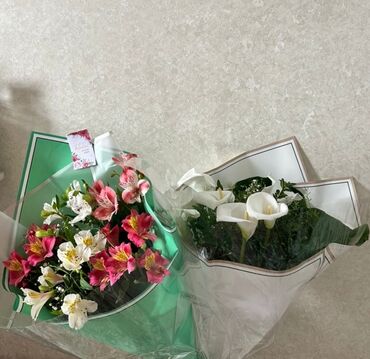 Другие комнатные растения: Продаю свежие букеты цветов