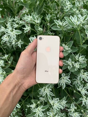 айфон 8 256 гб цена новый: IPhone 8, Б/у, 64 ГБ, Rose Gold, 100 %