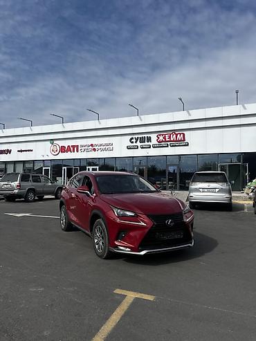 bmw m2: Lexus NX: 2017 г., 2 л, Автомат, Бензин, Кроссовер — 2