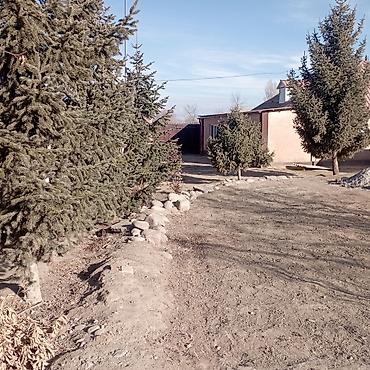 Продажа участков: 25 соток — 11