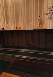 Pianolar: Piano, Akustik — 8