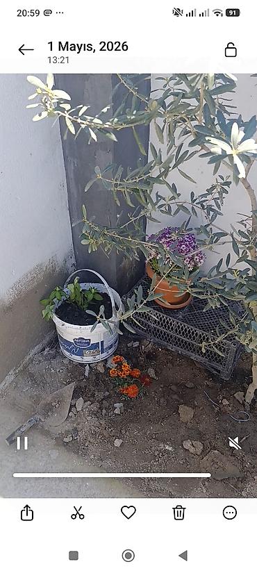 Həyət evləri və villaların satışı: 4 otaqlı, 68 kv. m, Kredit yoxdur, Yeni təmirli — 23