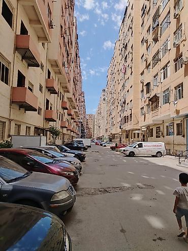 пальма цена: Salam mənzil xırdalanda Riyad ticarət mərkəzi ilə üzbə üz Abşeron — 4